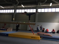 DTF Berlin - Turnen 2017